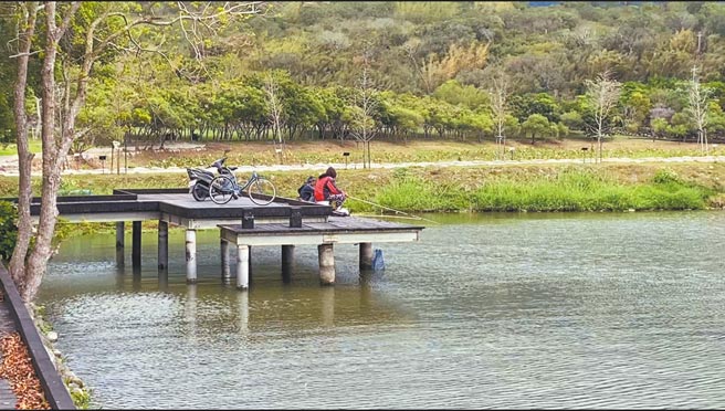 台東縣池上鄉大坡池風景優美，但遭外來魚種大肆入侵，池上鄉公所因此舉行釣害魚換消費券比賽，釣友說休閒之餘又能賺點外快。（蔡旻妤攝）