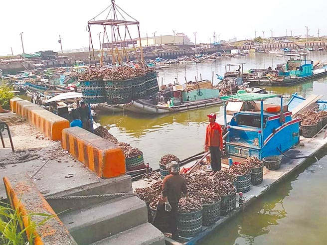 蚵农利用码头上的吊蚵机进行起卸作业；近期嘉义县政府获中央补助，办理吊蚵机与蚵架作业平台新建及改善。（读者提供／张毓翎嘉义传真）