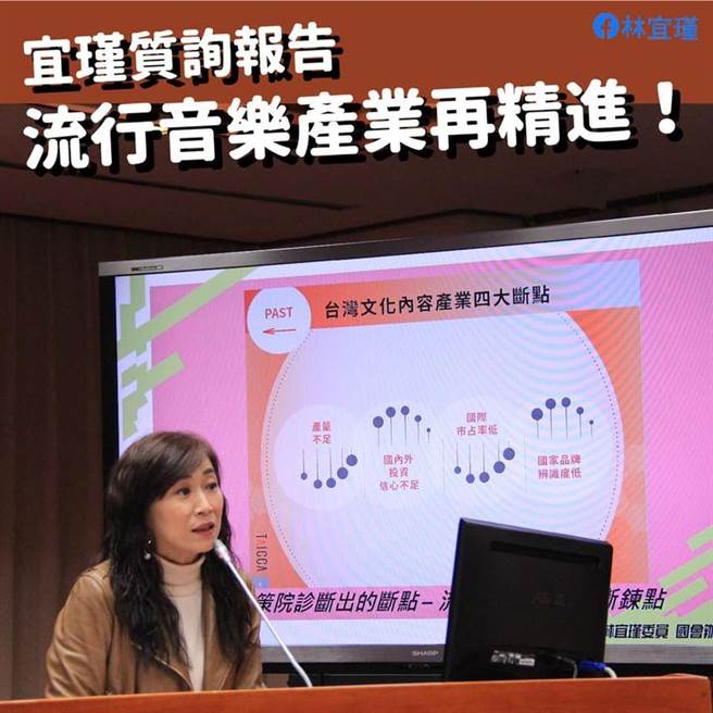 綠委林宜瑾 (翻攝臉書)