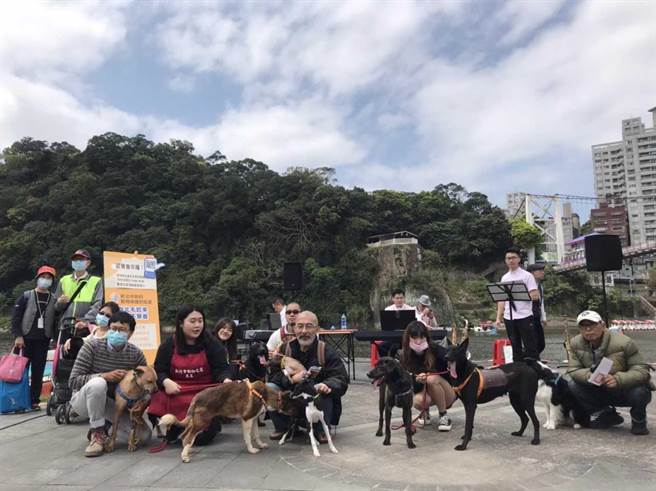 新北市动保处今日在碧潭河畔举办白色情人节快闪认养毛宝贝音乐会活动。（许哲瑗传真）