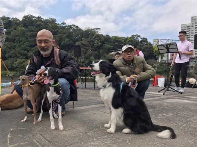 新北市动保处今日在碧潭河畔举办白色情人节快闪认养毛宝贝音乐会活动。（许哲瑗传真）