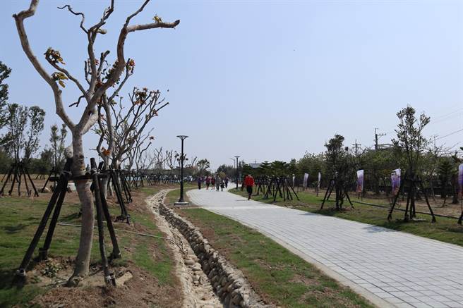 云嘉南滨海国家风景区管理处斥资2000万余元，新建赏鸟墙并改善活动广场、步道及停车空间等。（张毓翎摄）