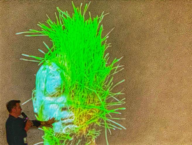 郭文泰举了台湾艺术大学教授陈永贤作品《草生》来说明真实在抽象化的改变。（邓博仁摄）