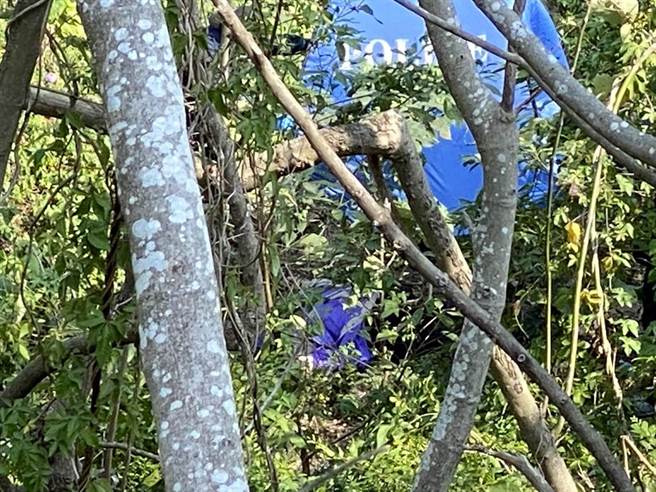 今年1月16日也曾有男子墜橋身亡。（資料照）