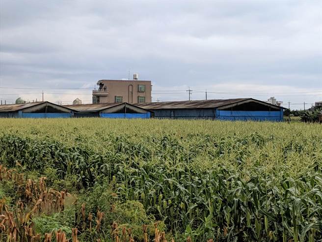 《台南市新设置畜牧场管理自治条例》草案15日由台南市议会法规委员会进行审查，在关键的禽畜场及粪尿资源化设施与民宅、学校等机关距离上，最后决定由1000公尺缩减为500公尺。（庄曜聪摄）