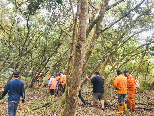 凤梨阿嬷10日午后骑1辆红色机车外出採野菜后，就失去音讯，警义消连日地毯式搜寻，14日终在光復乡大兴社区附近一处芒草丛生的田中央找到她了。（民眾提供／罗亦晽花莲传真）