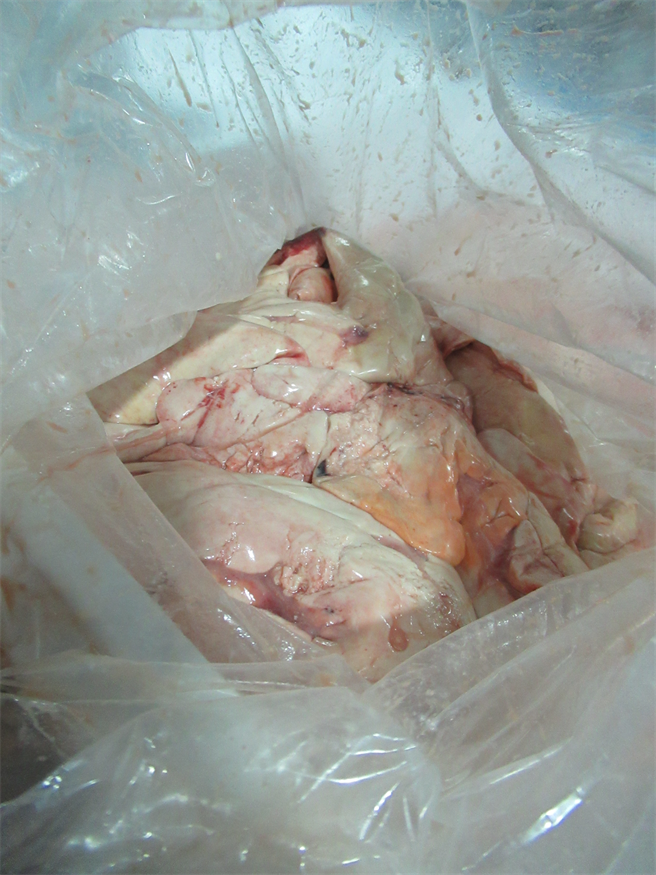 安康鱼肝（食药署提供）