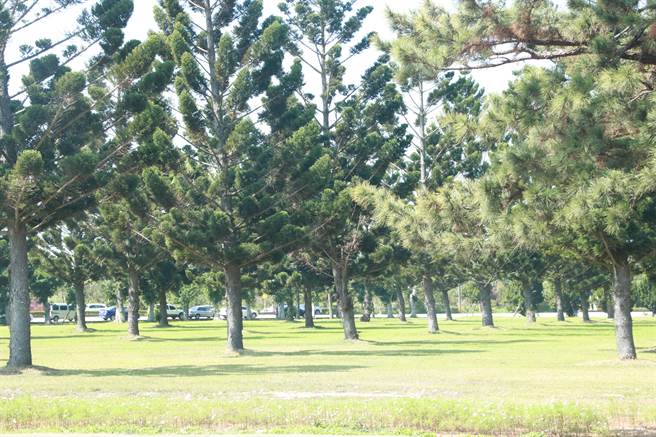 国防部陆军司令部为串连非营利幼儿园、公园绿地廊带，大方开放大汉营区前草皮供民眾休憩，让地方大讚军方相当亲民。（黄婉婷摄）