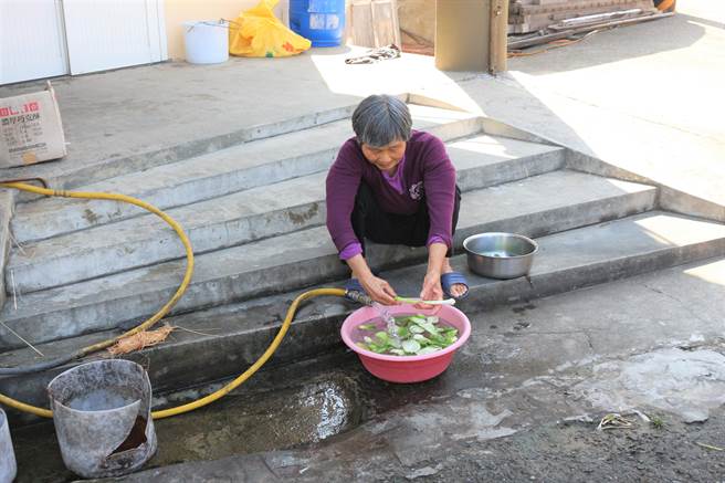 苗栗通霄新埔沿海地区拥有天然涌泉，是当地民眾的生活命脉，用来洗菜、烹煮饮用。（巫静婷摄）