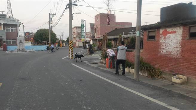 民眾在當地派出所附近，看到那隻咬傷阿嬤的黑狗時，沒人敢靠近。（嘉義縣家畜疾病防治所提供／張毓翎嘉義傳真）