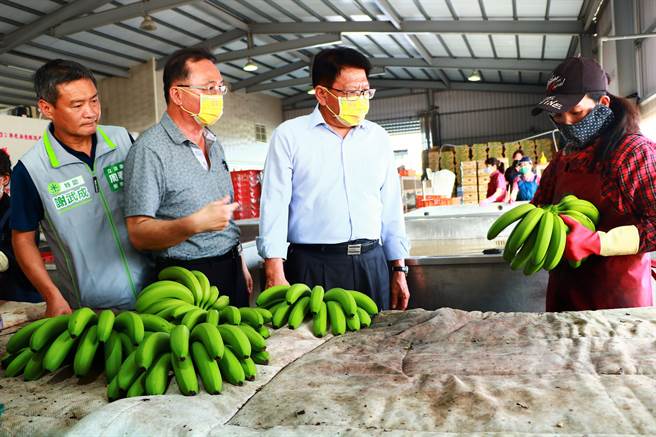 日前台灣外銷日本的香蕉，因農藥超標遭退貨，引起國際譁然，但身為香蕉生產大縣的屏東16日大動作「封櫃銷日」，強調屏東香蕉深獲日本肯定。（謝佳潾攝）
