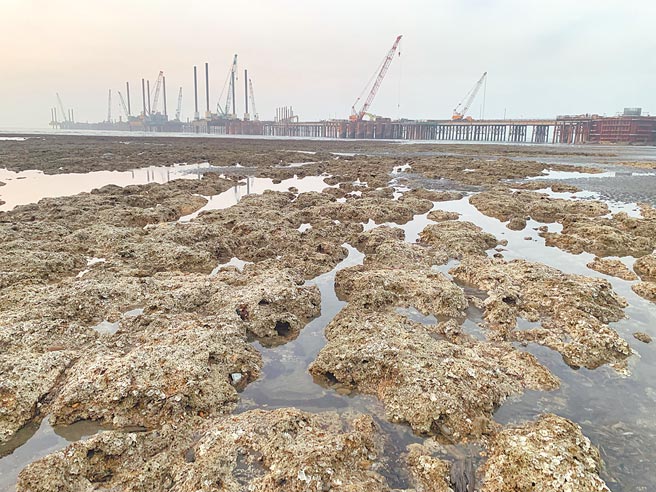 核四公投领衔人黄士修透露，府院高层内部打算在今年8月公投前暂缓观塘三接工程以释出善意；但其用意并非要护藻礁，而是担忧「粉红效应」顺势拉抬另一核四重启公投。图为施工中的第三接收站。（姜霏摄）