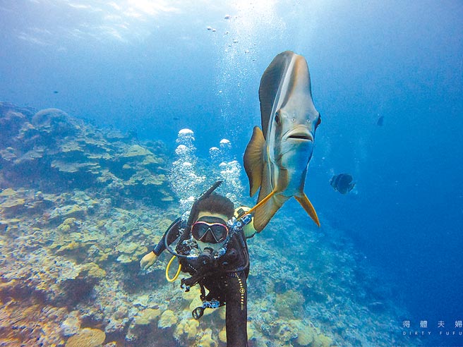 KKday上周率先开卖的「帛琉旅游泡泡梦想包」，刚推出就创下当日网页浏览量超过万人、3天销售量近千笔的热络买气，而昨（15日）KKday再宣布加码。（得体夫妇提供）