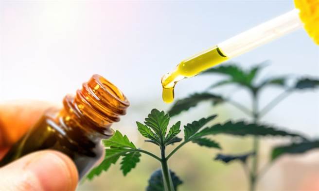 研究指出，大麻二酚CBD具有潜在性7种疗效，包括舒缓焦虑、失眠、癫痫症。(示意图/Shutterstock)