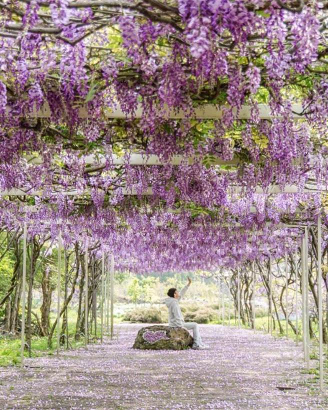 IG@xuyuz0522（图／ReadyGo提供）