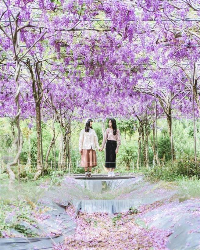 IG@y9uuuuuu（图／ReadyGo提供）