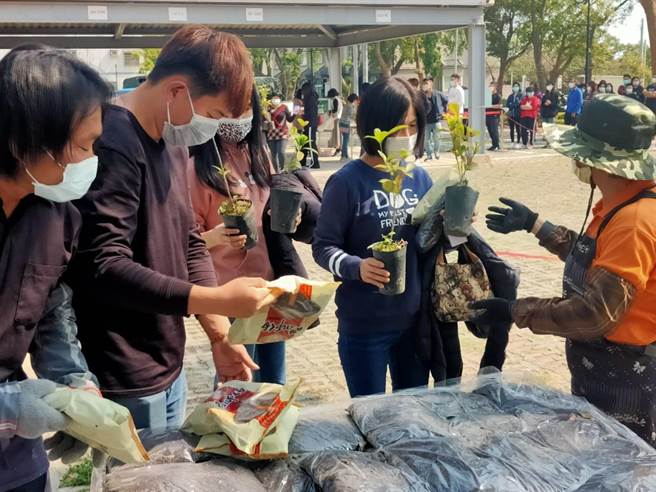 现场赠送的树种有桂花、茶花、春不老和九重葛，每人最多可换取5株。（金湖镇公所提供）