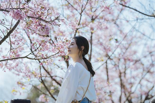 沿線的各個小鎮各有獨特的人文風情。（新北市觀光局提供）