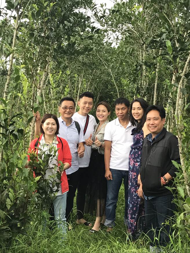 越南厂商参访茶园。（图／三点一刻提供）
