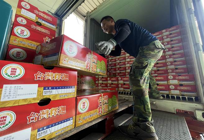 台東10噸鳳梨釋迦17日 裝櫃，將外銷到中東杜拜地區。（莊哲權攝）