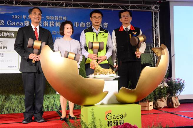 君达集团推出「Gaea格雅鸡」，农委会畜产试验所长黄振芳（左起）、集团董事长尹纯绸、农委会主委陈吉仲、县府代理秘书长张逸华等人，示意执锤敲开蛋壳，新品种揭幕上市。（王志伟摄）
