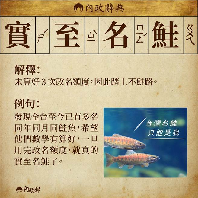 全台逾百人改名鮭魚內政部 小心實至名 鮭 生活 中時