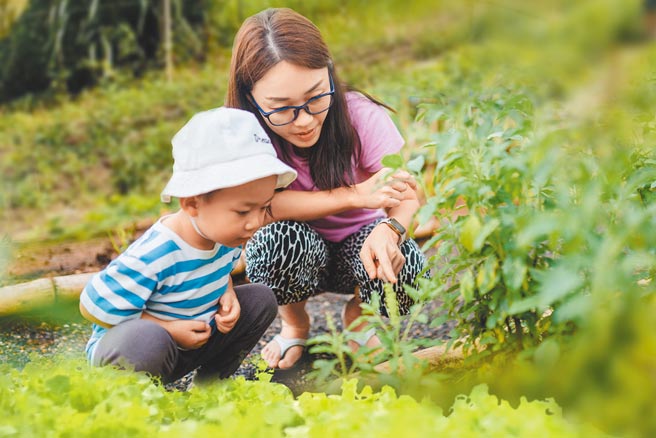 北投亚太饭店于儿童节、端午节连假期间推出「城市小农夫」企画。（北投亚太饭店提供）