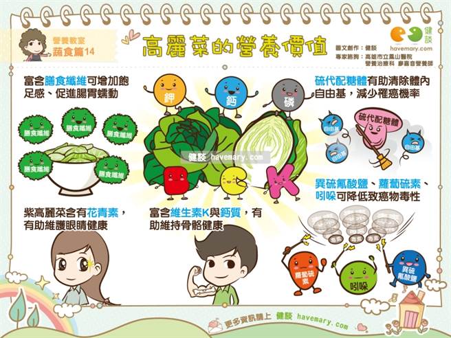 高麗菜的營養價值。(圖/健談提供)