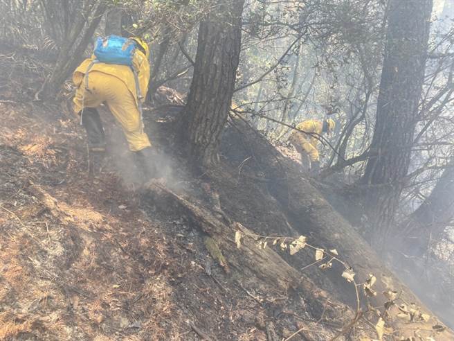 東勢林管處森林護管員3月中旬搶救森林火災。（東勢林管處提供／王文吉台中傳真）
