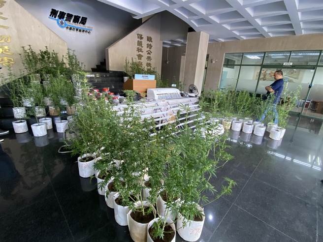 中部打擊犯罪中心獲報要追查詐騙機房，卻意外查獲種植大麻的犯嫌。（盧金足攝）