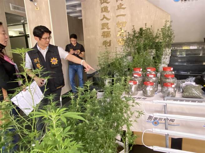 最危險的地方就是最安全的地方，中打查獲以飲料店掩護之大麻製造工廠案。（盧金足攝）  
