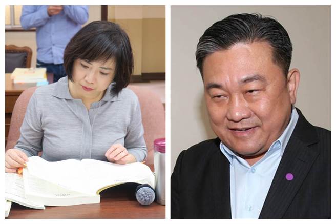 绿委何欣纯（左）和王定宇。（图为合成照）