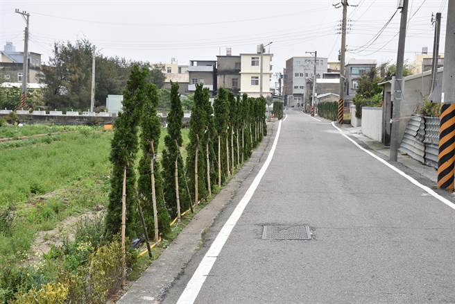 後龍鎮水尾里努力打造綠化美社區有成。（謝明俊攝）