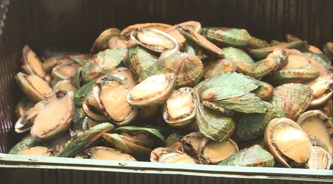 台东县成功镇养殖业受疫情衝击，业者灵机一动推出小九孔广受好评。（蔡旻妤摄）