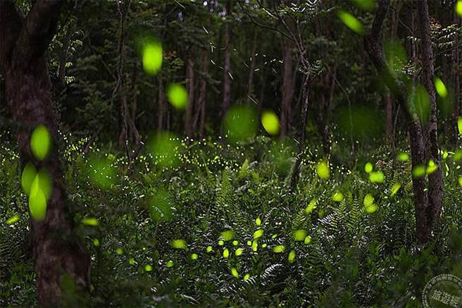 带您寻找火金姑 瑞穗天合、理想大地推专案住房。（旅游经）