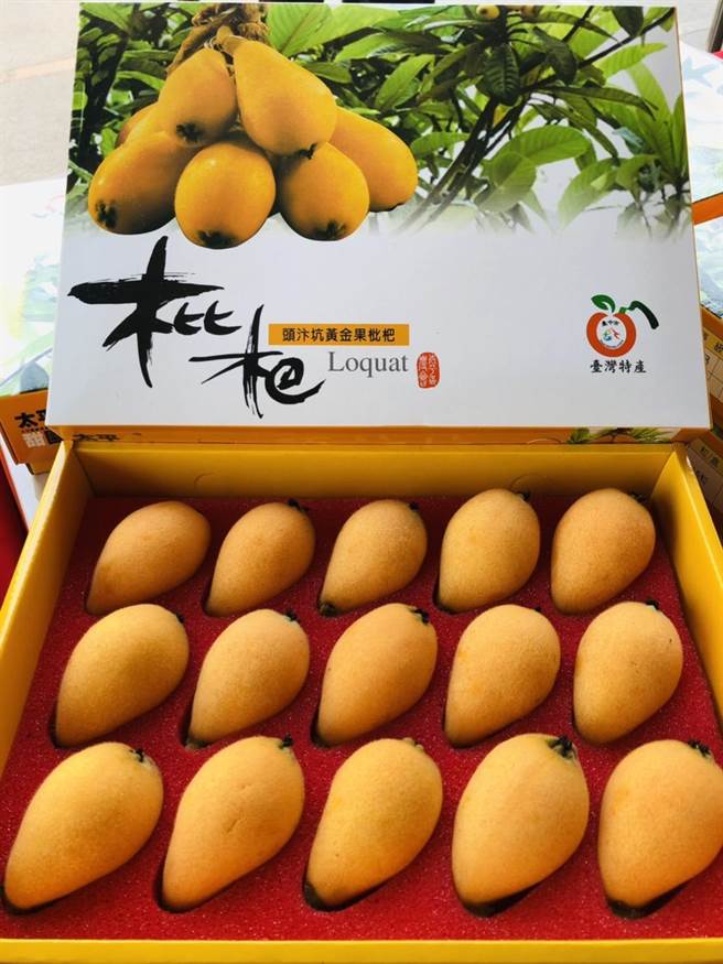 台中市农业局表示，枇杷产季为每年2至4月，栽种于海拔300至600公尺的山坡地，由于日夜温差大，生产出来的枇杷果实色泽金黄、果粒大、甜度、风味好、多汁且入口即化、果肉质地细腻。（台中市政府提供／张妍溱台中传真）