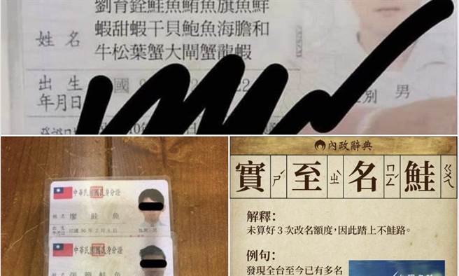 叶毓兰》「鲑鱼」改名潮 免费大餐背后的意义。（爱传媒提供）