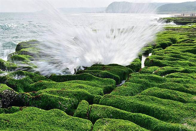 老梅绿石槽。（北观处提供）