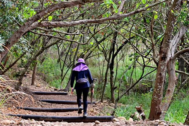 台中市观光旅游局编列1200万元整建大肚环保公园登山步道。（台中市观旅局提供／王文吉台中传真）
