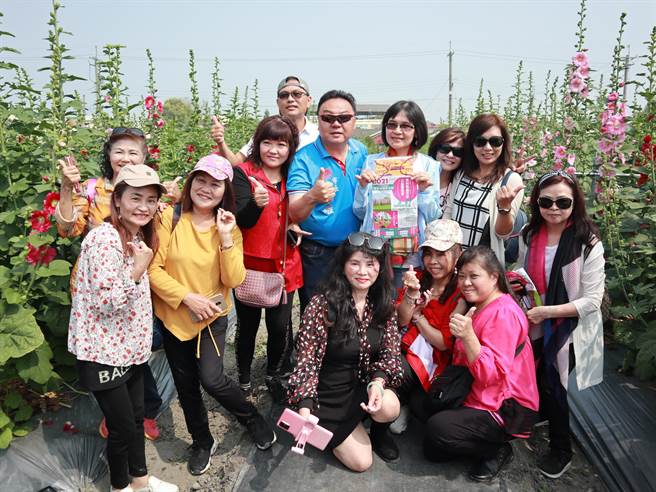 員林蜀葵花季活動今年邁入第七年，首度移師至西區大埔里運動公園旁農田辦理，19日開園首日就迎來宜蘭的遊覽車團客，眾人爭相拍照，員林市長游振雄熱情接待這群遊客。（謝瓊雲攝）