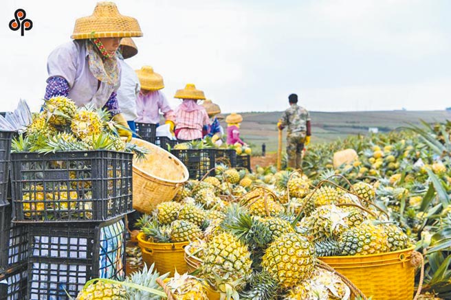 （图／本报系资料照片）