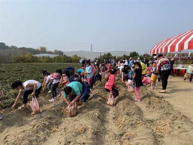 山上区公所今天举办食农体验活动，亲子同乐焢土窑，食材中的地瓜、花生还是半年前亲手种下的。（山上区公所提供／庄曜聪台南传真）
