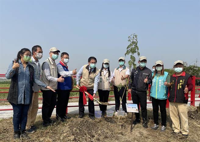 台南市政府與林務局嘉義林管處攜手，20日在台南東山糖鐵自行車道種下250株光臘樹，長成後盼能綠化環境，也串連沿途田園景緻。（台南市政府農業局提供／莊曜聰台南傳真）