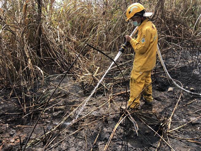 林务局嘉义林管处大埔事业区228、229林班火灾，森林护管员背水袋、水线徒步救火。（嘉义林管处提供／张亦惠嘉县传真）