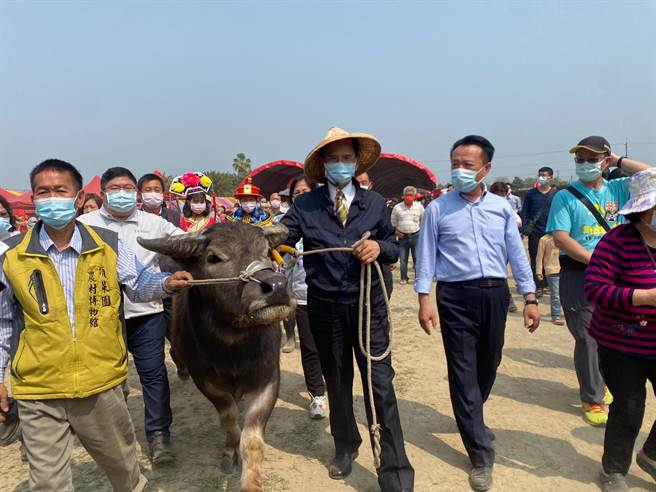 立法院长游锡堃（右二）20日到嘉义县新港乡顶菜园发展协会参加牛墟市集活动，由县长翁章梁（右一）、顶菜园发展协会理事长陈明惠（左一）等人陪同牵着3岁水牛进场。（张亦惠摄）