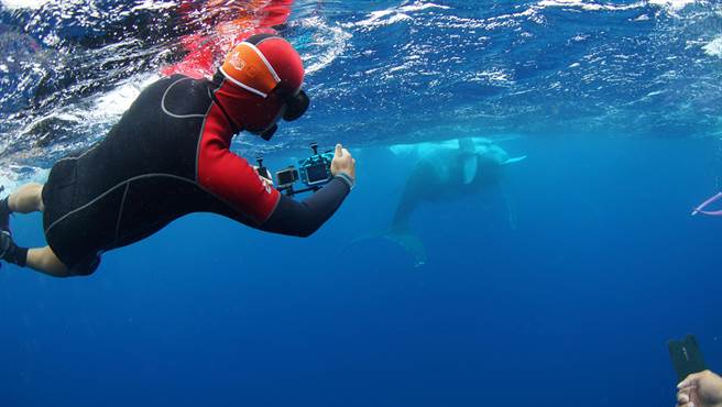 「黑糖導演」黃嘉俊耗資千萬、耗時3年籌拍海洋電影《男人與他的海》。（牽猴子提供）