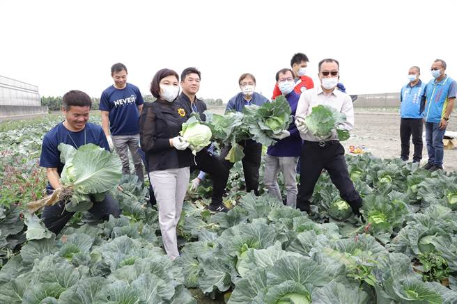 雲林縣長張麗善（左三）媒合炳翰機構董事長李炳翰（左四），認購50噸雲林縣高麗菜。（張朝欣攝）