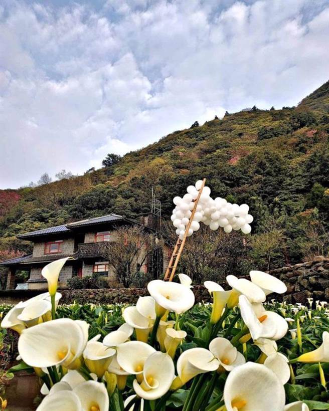 IG@dashangyuanxiuqiuhuahaiyu（图／ReadyGo提供）