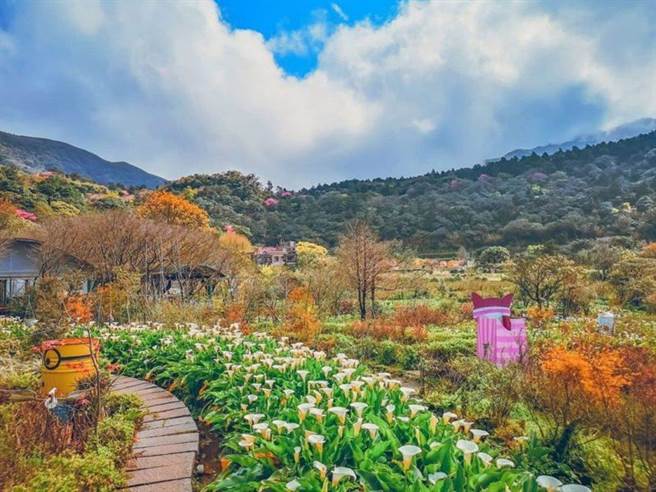 IG@rckhh92（图／ReadyGo提供）