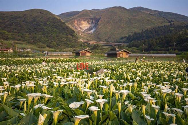 IG@taiwan_explorer2019（图／ReadyGo提供）